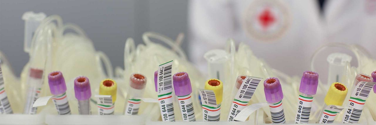 DRK - Blutspendedienst